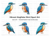 Vibrant Kingfisher Clipart Bundle