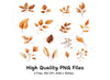 Autumn Leaves Clipart Bundle