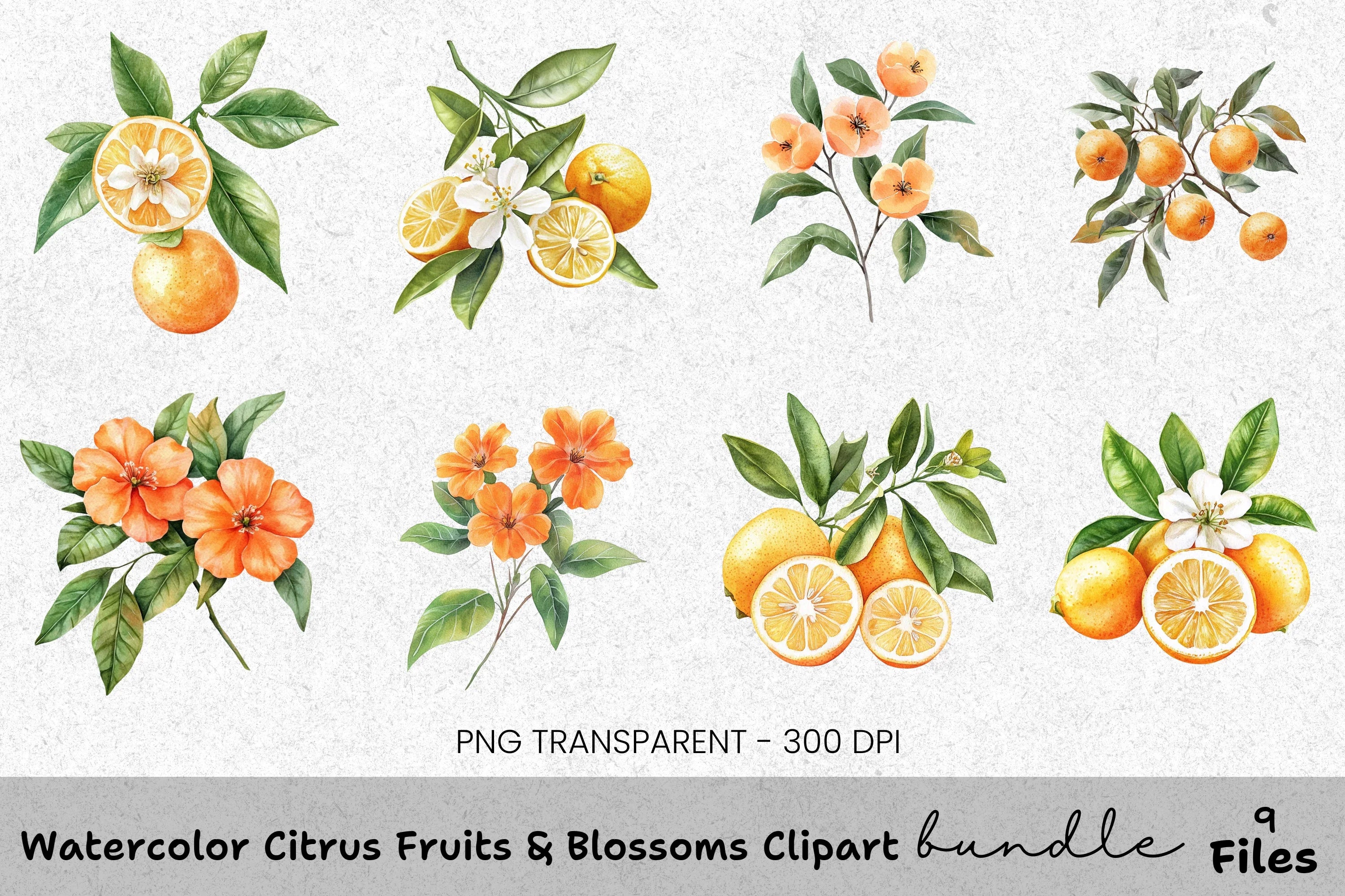 Citrus Fruits Blossoms Clipart Bundle