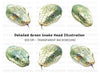 Green Snake Head Clipart Bundle