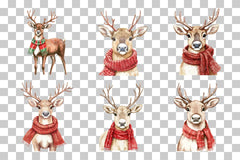 Festive Reindeer with Scarves Clipart Bundle - CraftNest - Digital Crafting and Art