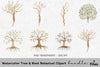 Tree Root Botanical Clipart Bundle