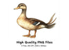 Cute Cartoon Duck Clipart Bundle