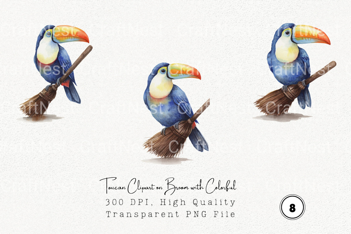Toucan On Broom With Colorful Clipart Bundle