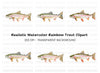 Rainbow Trout Fish Clipart Bundle