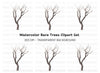 Bare Tree Branches Clipart Bundle