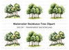 Forest Tree Group Clipart Bundle