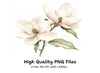 Elegant Magnolia Flower Clipart Bundle