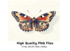 Vibrant Tortoiseshell Butterfly Clipart Bundle