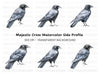 Black Crow Clipart Bundle
