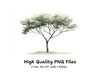 Tree Clipart Bundle
