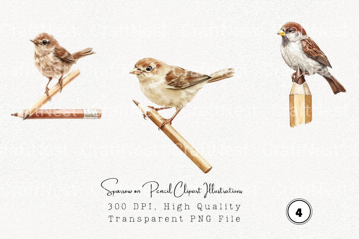 Sparrow On Pencil Illustrations Clipart Bundle
