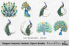 Elegant Peacock Feather Clipart Bundle