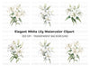 Elegant White Lily Flower Clipart Bundle