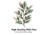 Botanical Leaves Clipart Bundle