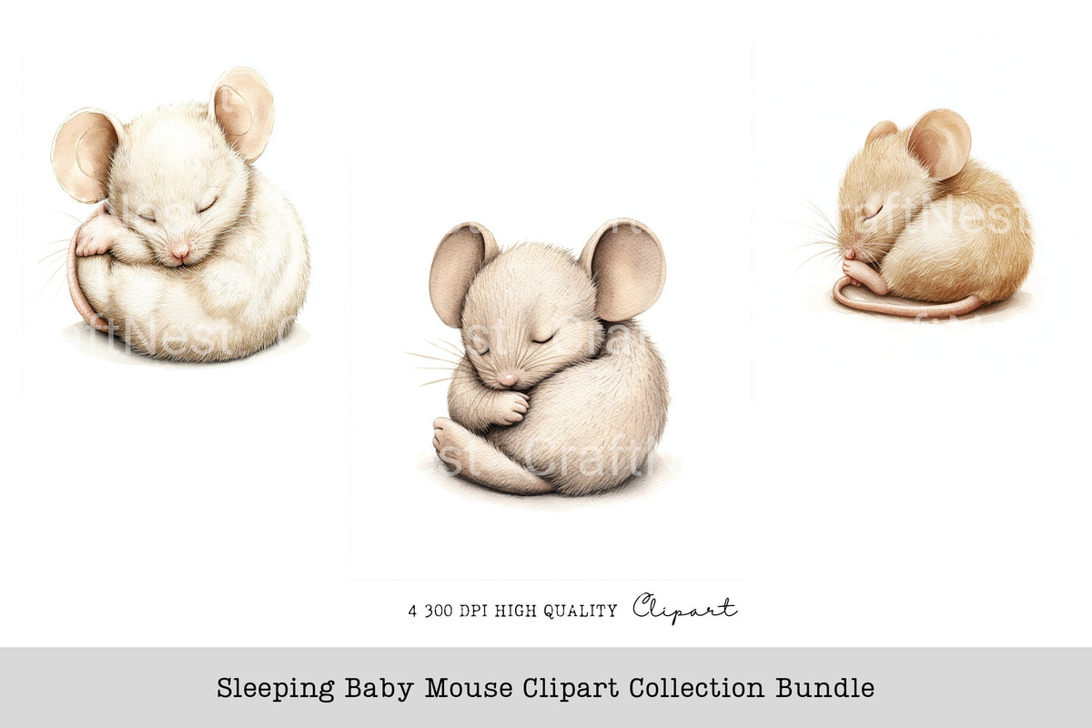Sleeping Baby Mouse Clipart Bundle