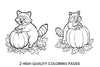 Cute Raccoon Pumpkin Coloring Books