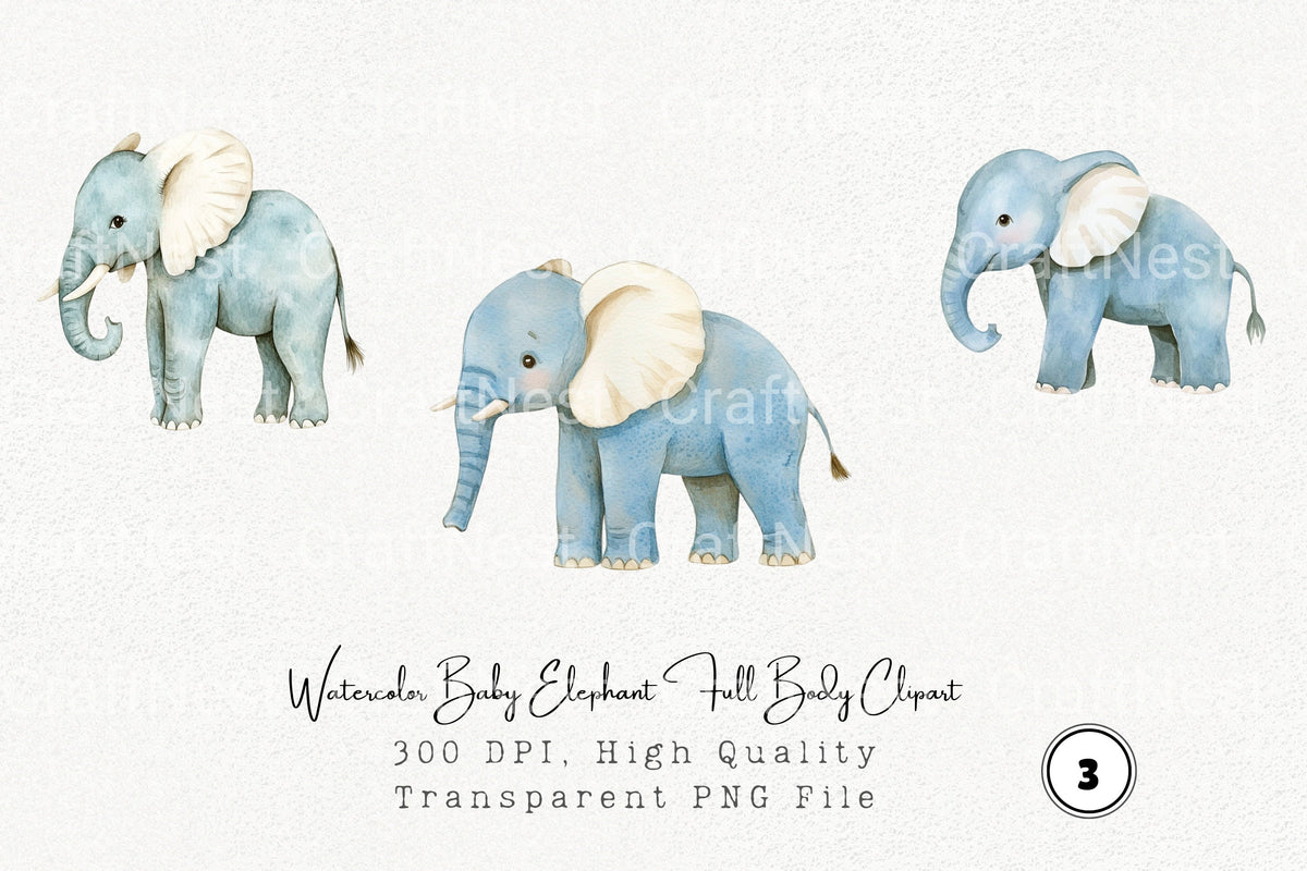 Baby Elephant Body Clipart Bundle
