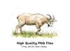 Goat Illustration Clipart Bundle