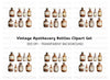 Antique Medicine Bottles Clipart Bundle