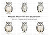 Cute Owl Clipart Bundle