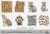 Wild Leopard Clipart Bundle