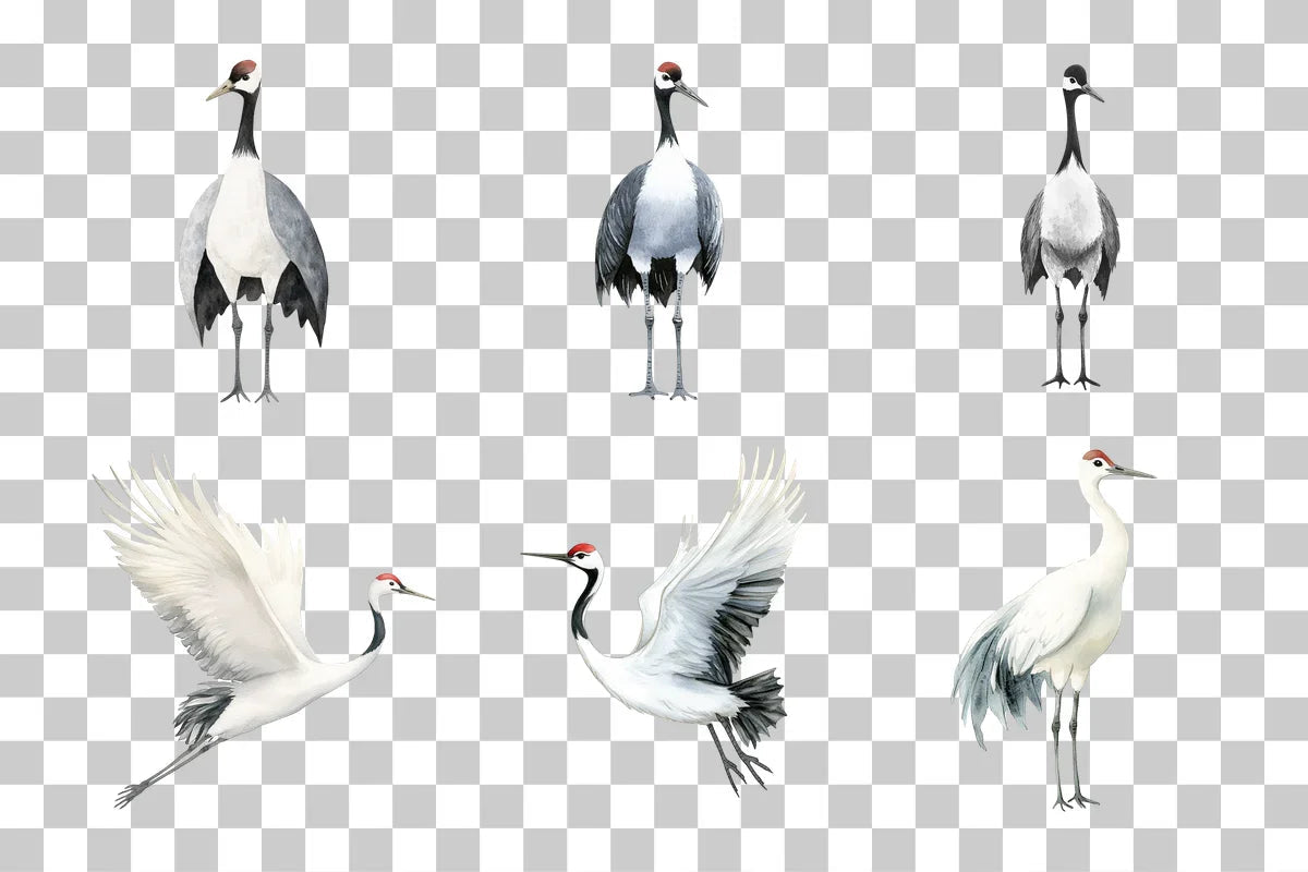 Sumi Ink Japanese Crane Clipart Bundle - CraftNest - Digital Crafting and Art