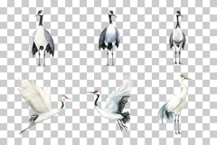 Sumi Ink Japanese Crane Clipart Bundle - CraftNest - Digital Crafting and Art