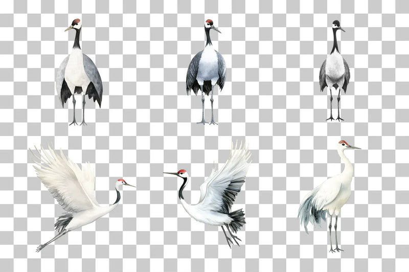 Sumi Ink Japanese Crane Clipart Bundle - CraftNest - Digital Crafting and Art
