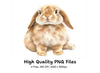 Cute Bunny Clipart Bundle
