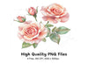Blush Pink Rose Clipart Bundle