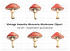 Red Toadstool Mushroom Clipart Bundle