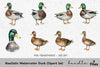 Realistic Duck Clipart Bundle