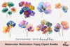 Multicolour Poppy Clipart Bundle