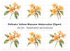 Orange Blossom Clipart Bundle