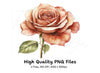 Elegant Rose Clipart Bundle