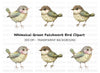 Whimsical Quilted Birds Clipart Bundle