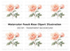 Elegant Peach Rose Illustration Clipart Bundle