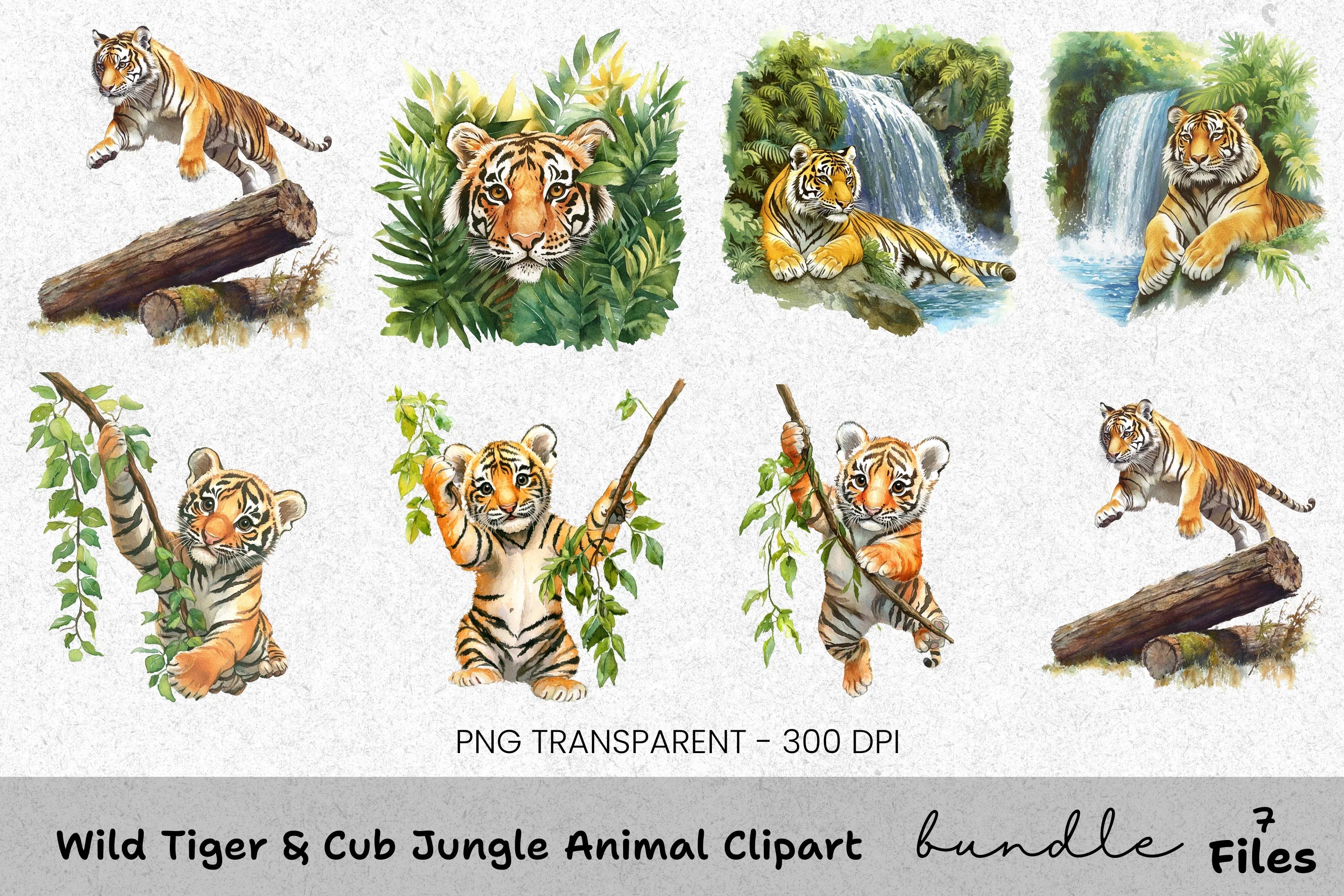 Wild Tiger Cub Jungle Animal Clipart Bundle