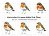Cute Robin Bird Clipart Bundle