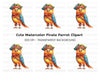 Cute Pirate Parrot Illustration Clipart Bundle