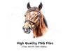 Horse Head Clipart Bundle