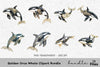 Golden Orca Whale Clipart Bundle