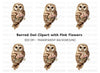 Elegant Barn Owl with Flowers Clipart Bundle