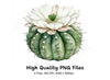 Barrel Cactus with White Flowers Clipart Bundle