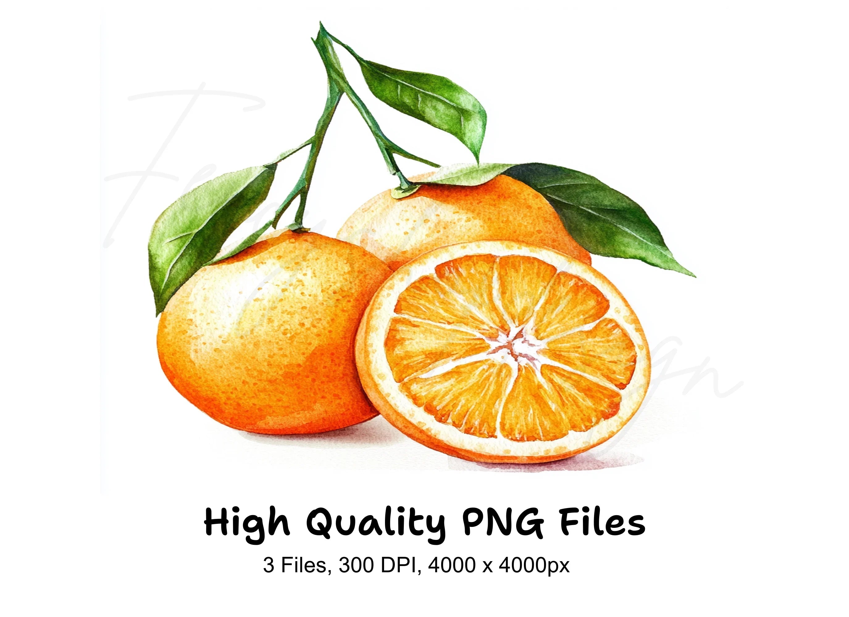 Fresh Orange Fruit Clipart Bundle