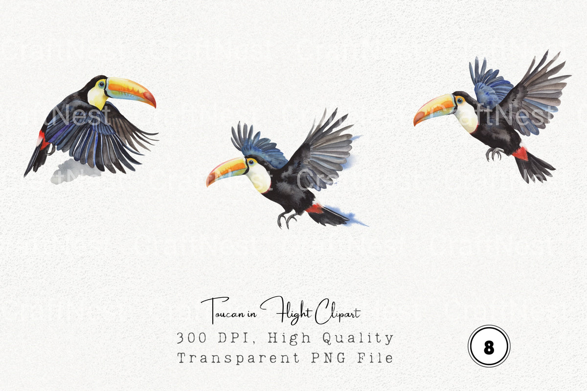 Toucan In Flight Clipart Bundle
