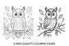 Cute Owl on Branch Coloring Books
