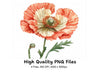 Vibrant Red Poppy Flower Clipart Bundle