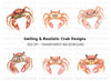 Cute Crab Clipart Bundle